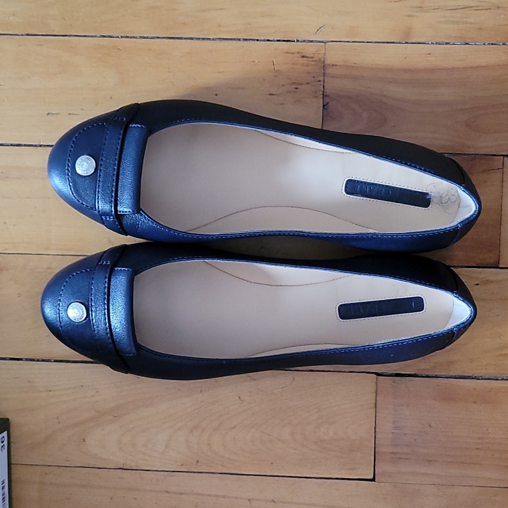 Longchamp navy leather ballet flats in size 36/6.